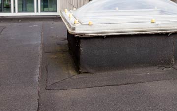 disadvantages of Thorley flat roofs