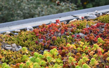 the cost of Thorley green roof installation