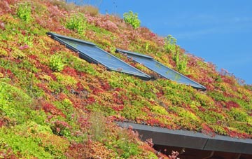 Thorley living roof systems